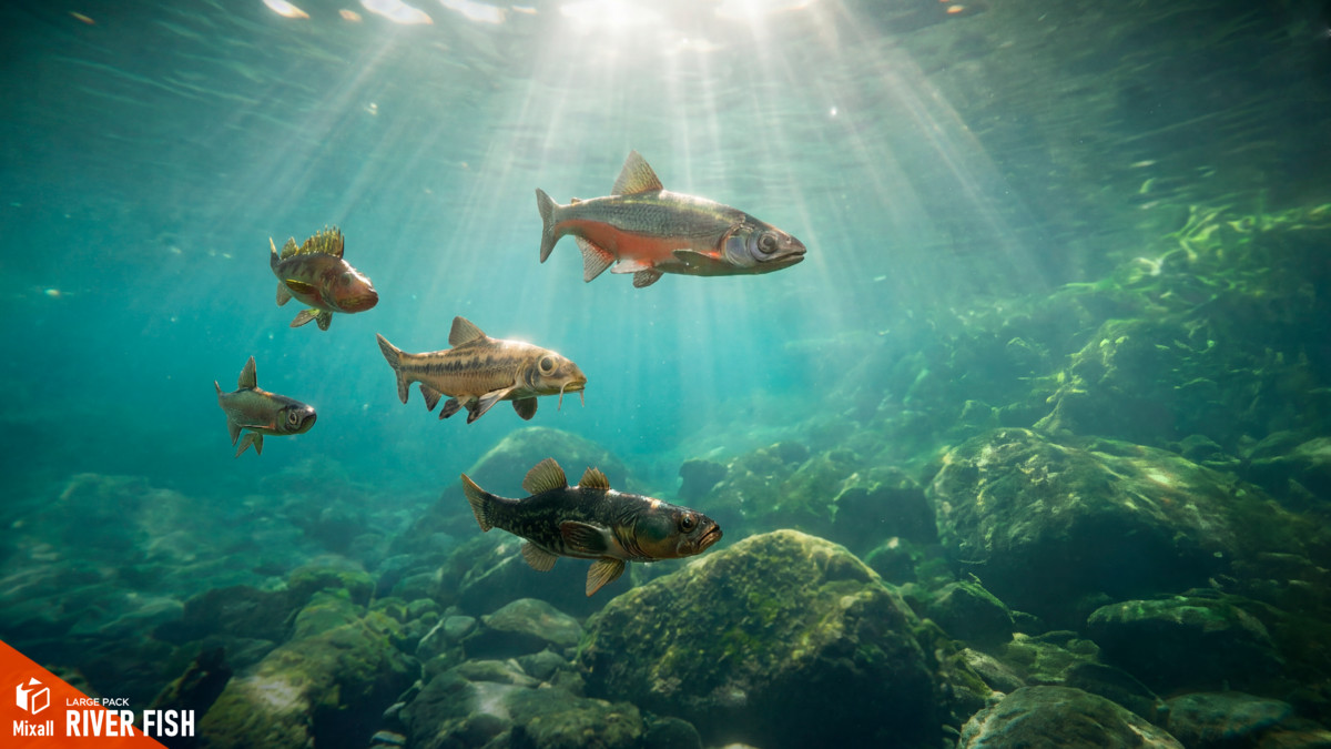 River fish - large pack