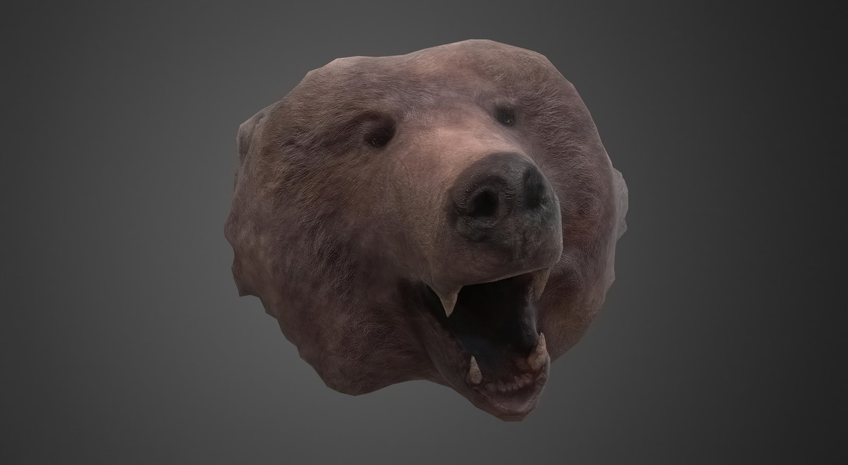 Animal pelts volume 6 bear, kangaroo, tiger, rhino, sheep, goat 4k URP Hair LODs