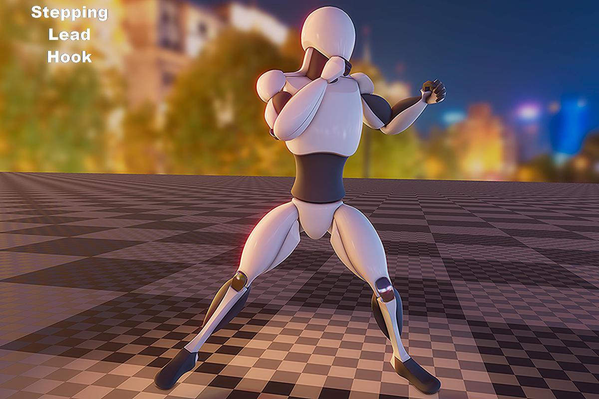 Boxing animation package