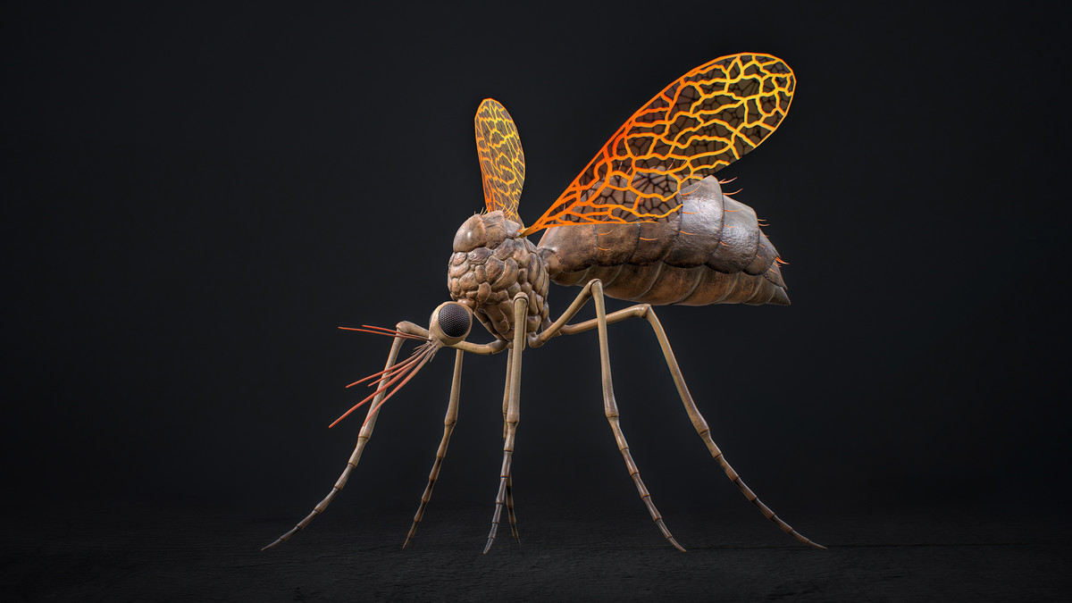 Mosquito Queen Boss - Fantasy Magic Mosquitoes