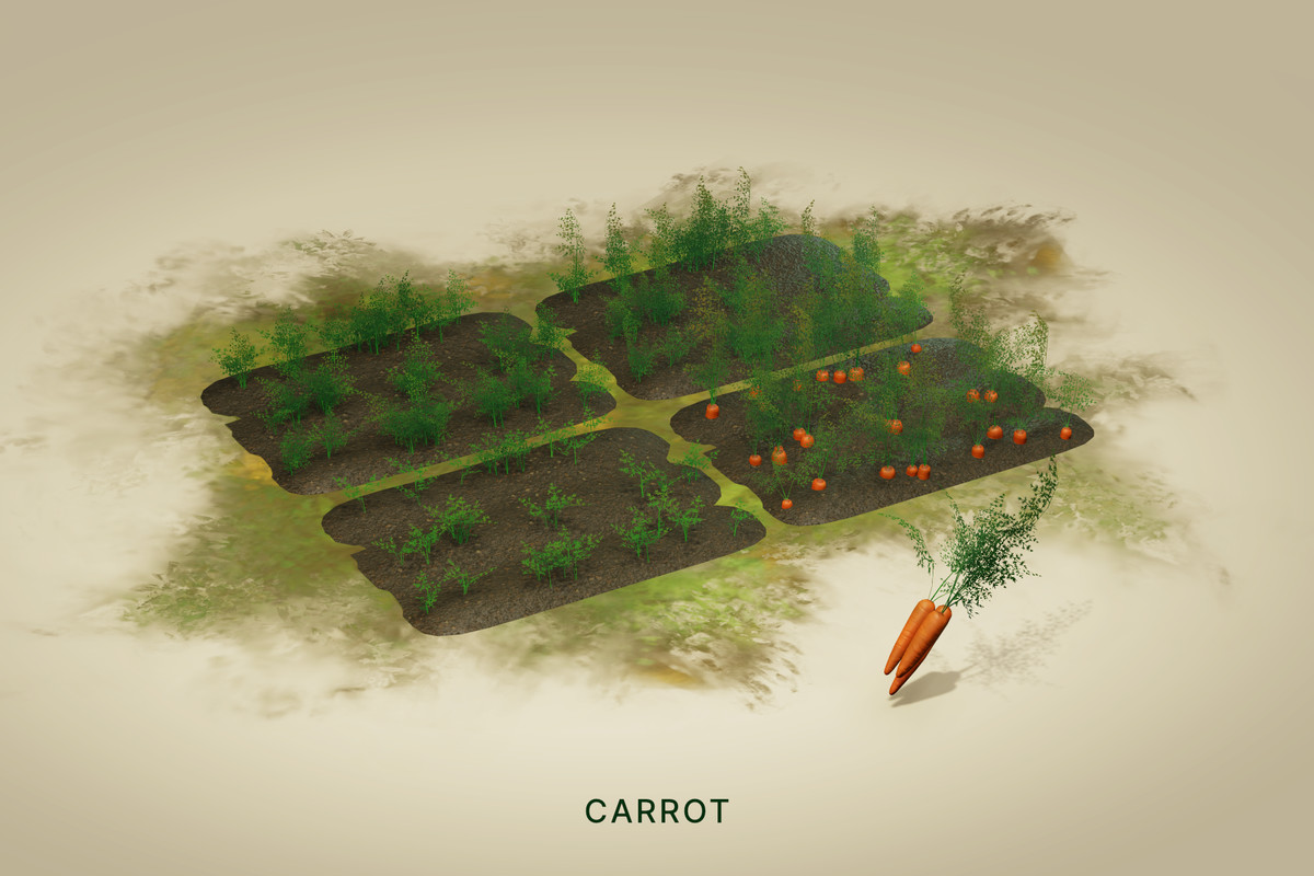 Wild Harvest: Root Vegetables