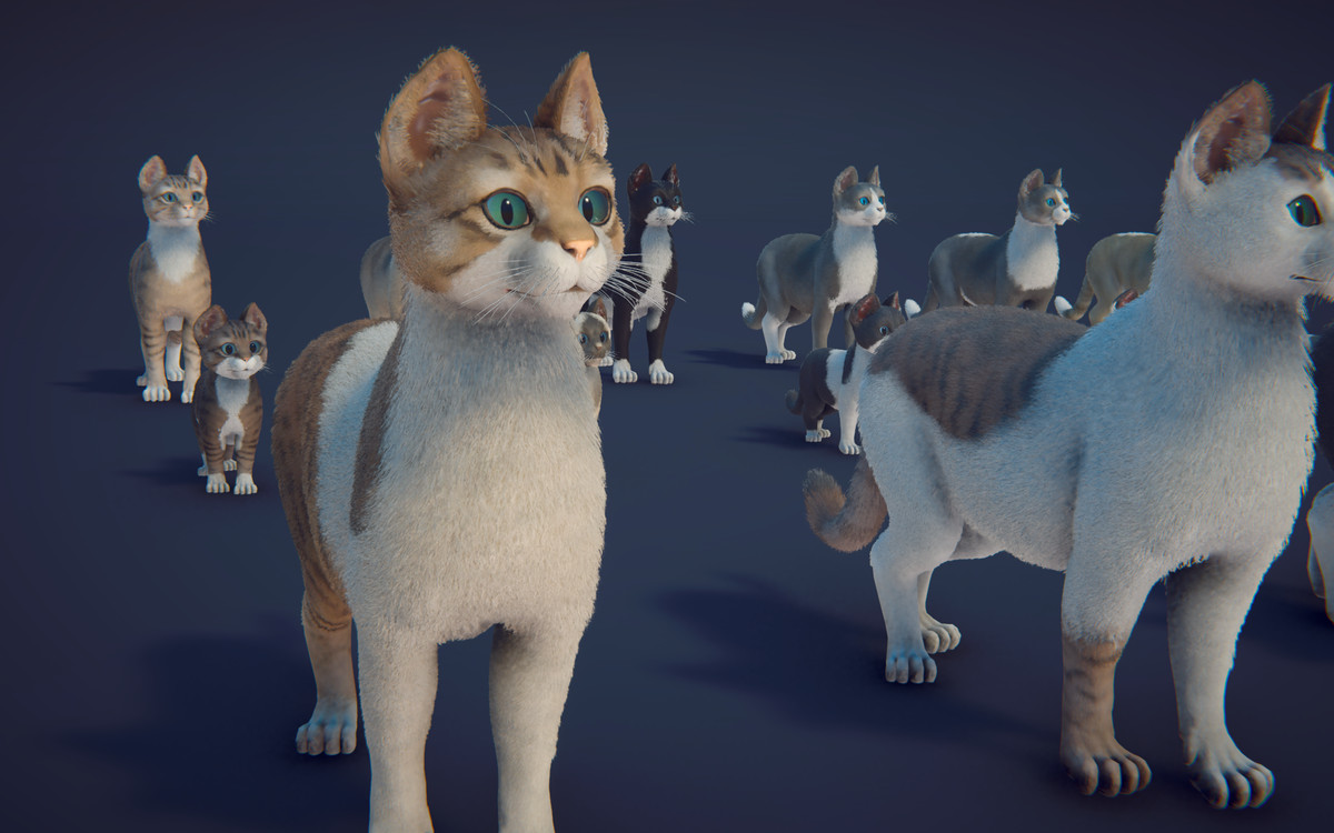 Milo the Cat