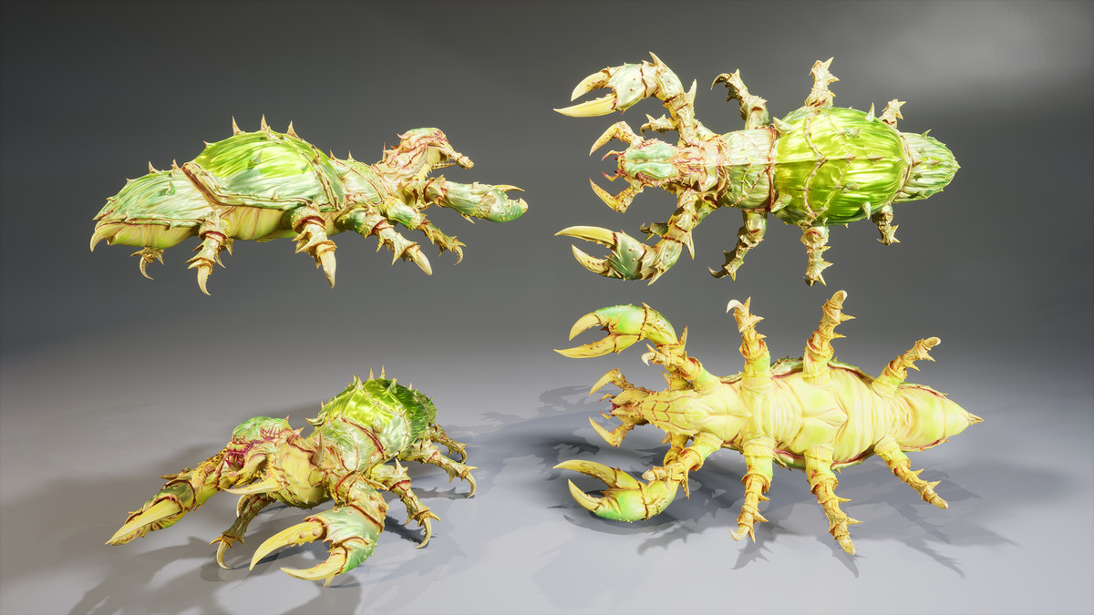 Insect