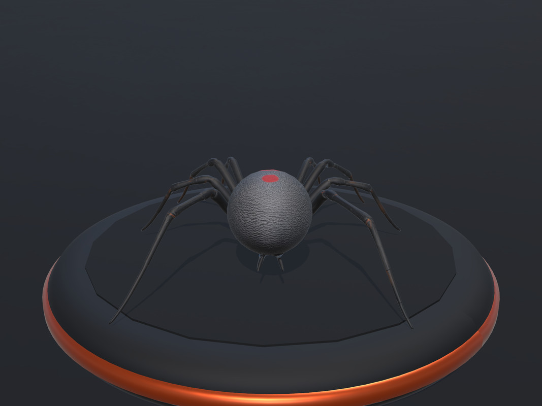Arachnid Collection — 4 Animated Spiders