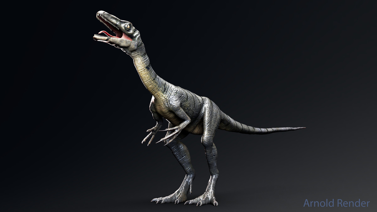Dinosaur-Compsognathus - 110 Animations