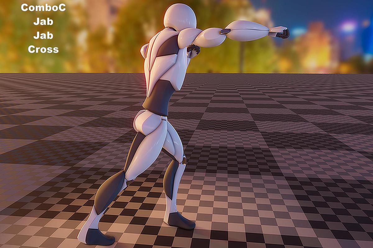 Boxing animation package