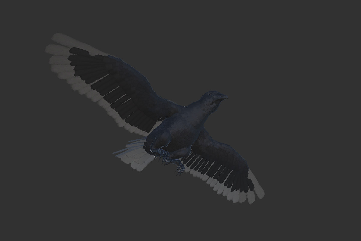 Crow Feathered