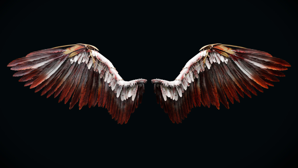 Fallen Angel Wings