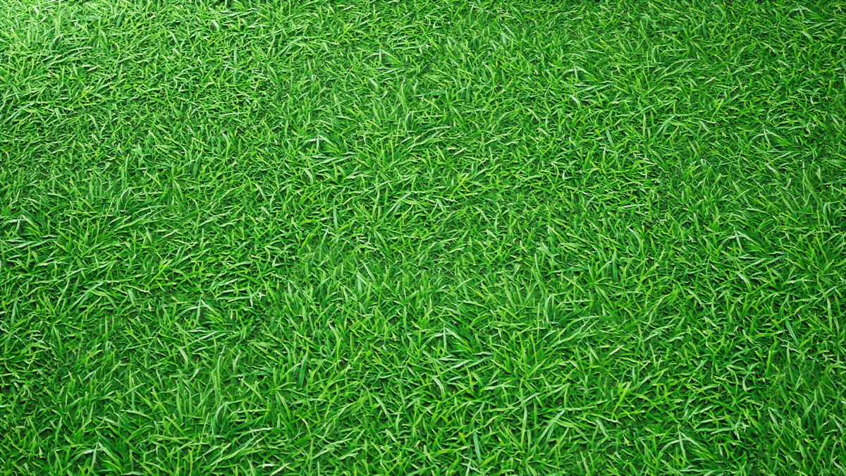 Realistic Materials - Terrain 1