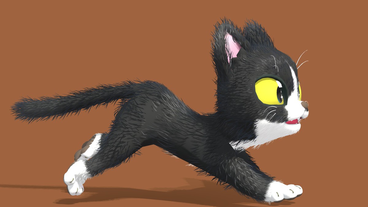 Cute Cat