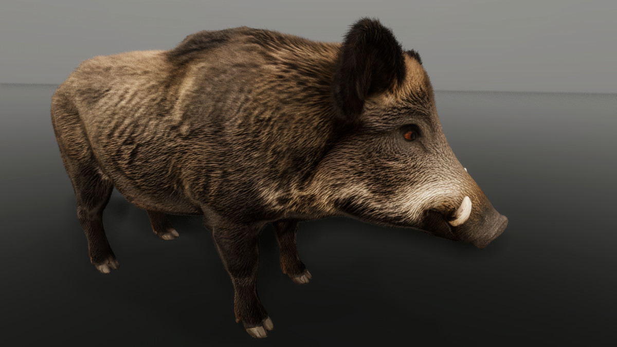 Ultrarealistic Forest Animals - Customizable Fur
