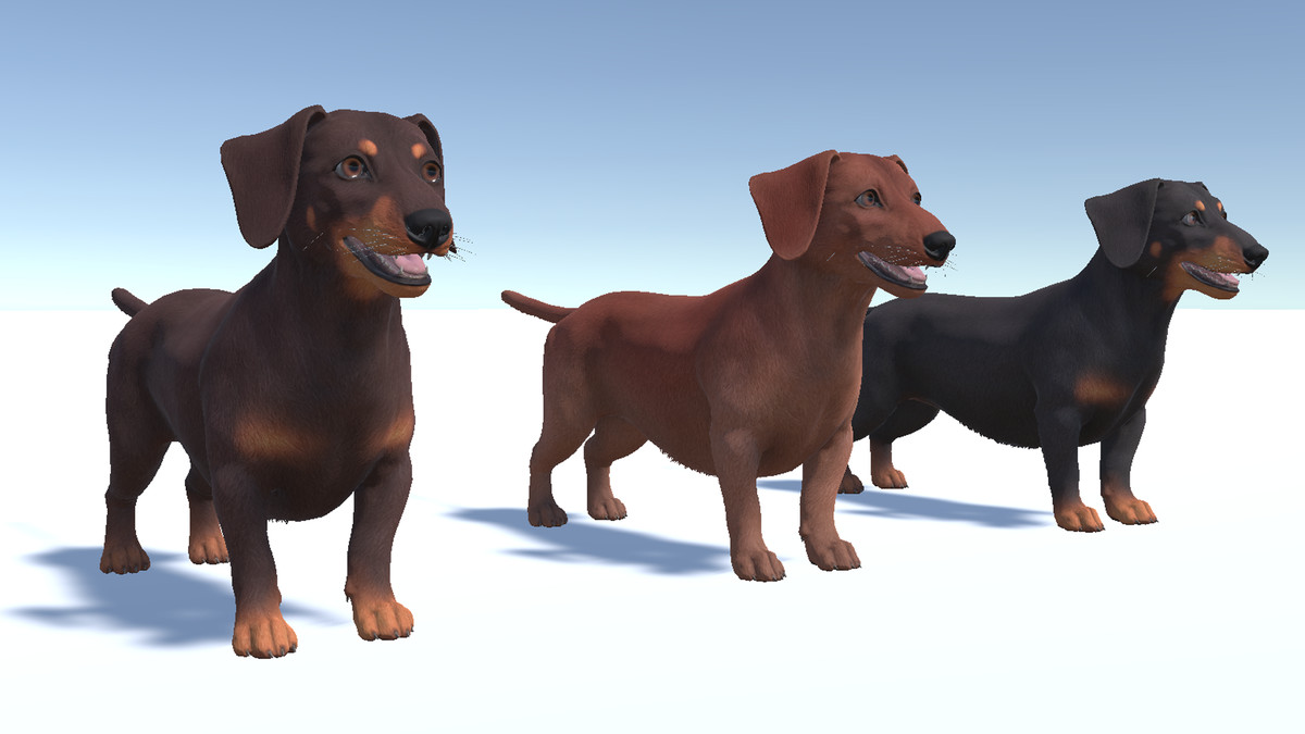 Dog -- Dachshund