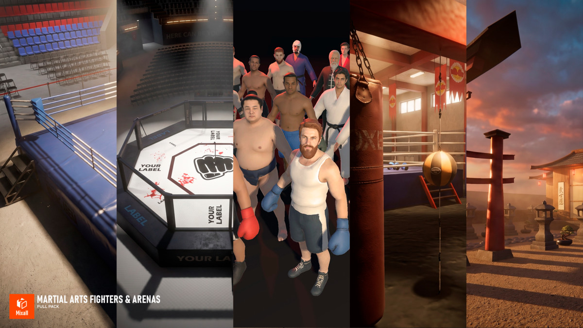 Martial Arts Fighters & Arenas – Full Pack