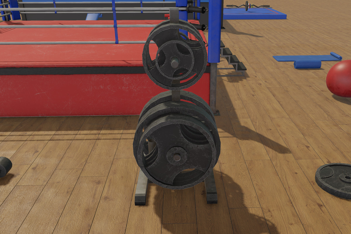 Boxing and Gym Equipment