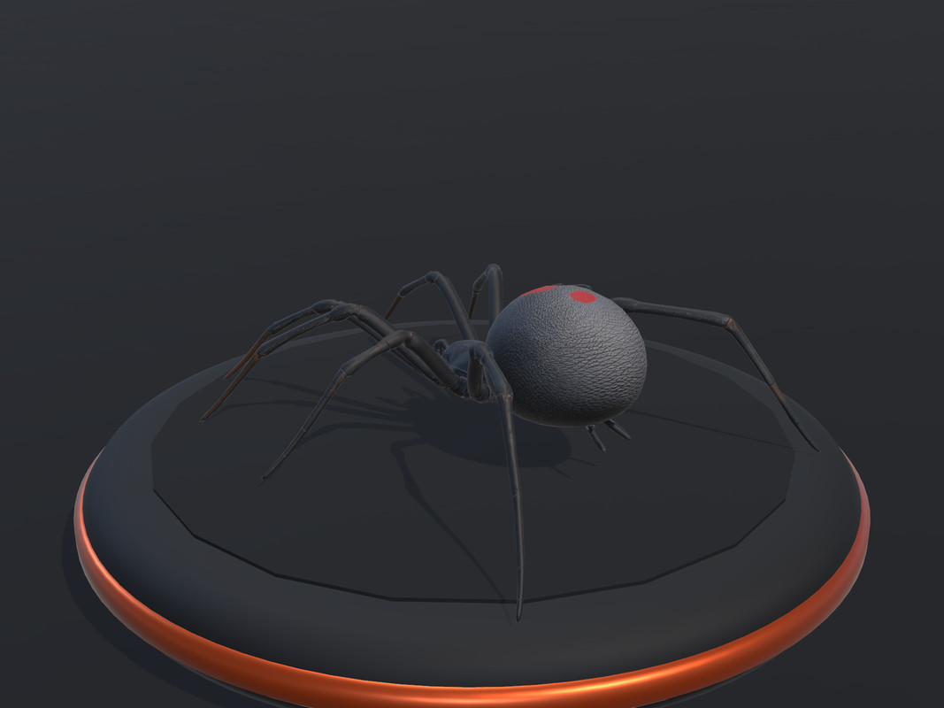 Arachnid Collection — 4 Animated Spiders