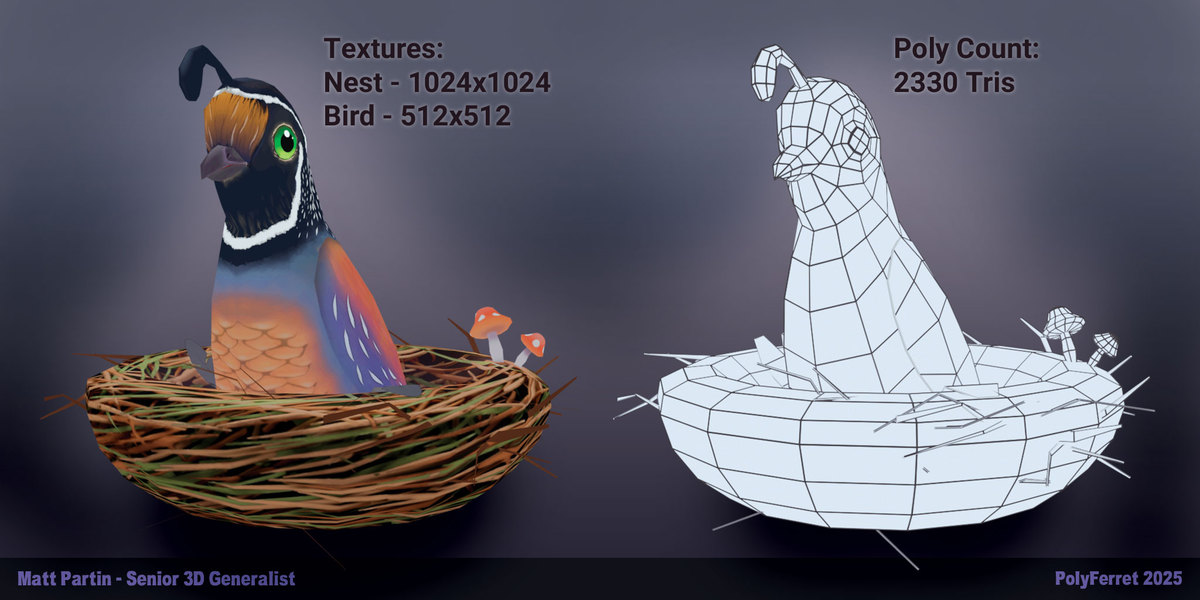 Low Poly Bird w Nest