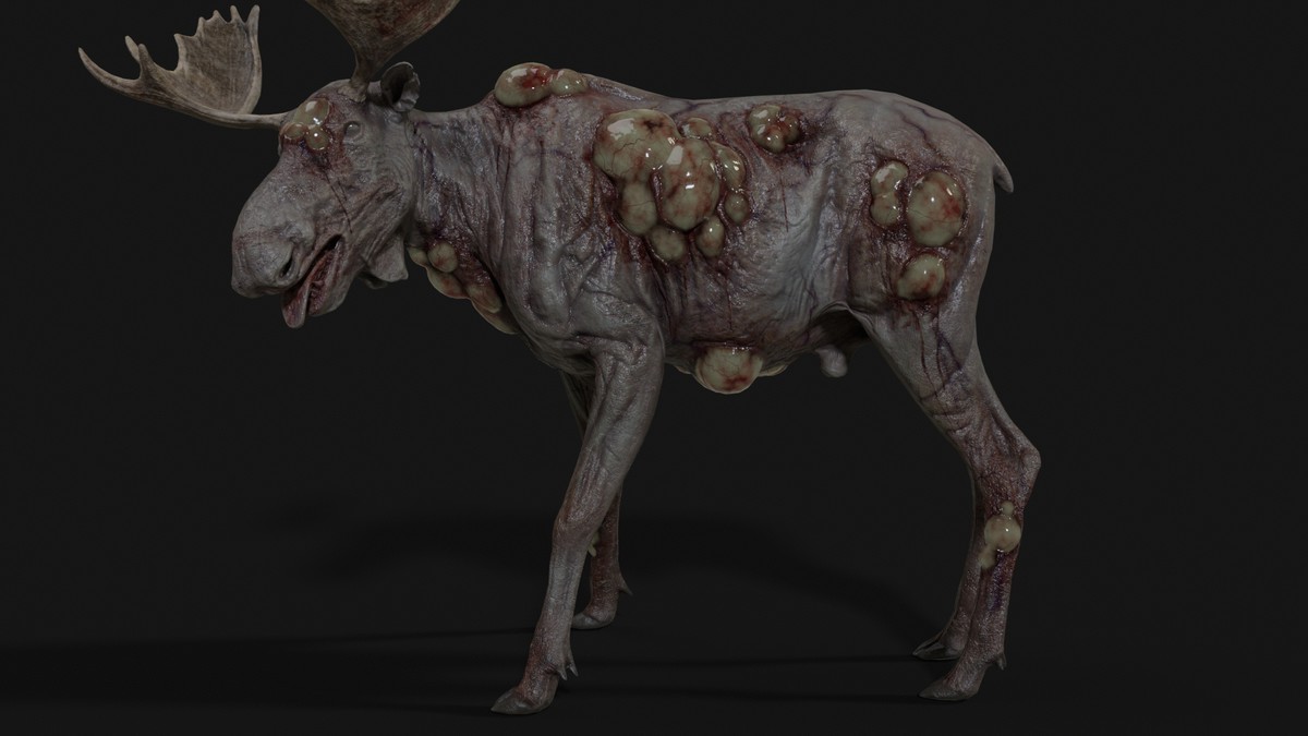 Rot Moose