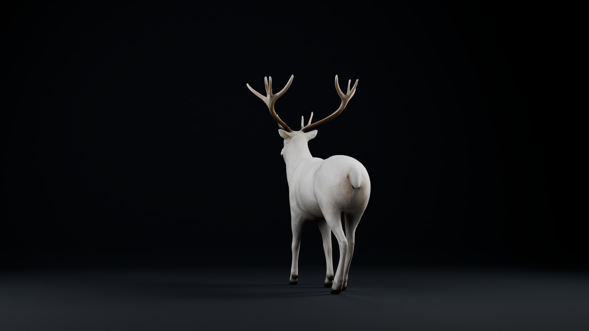White Deer Stag – Rigged & Animated