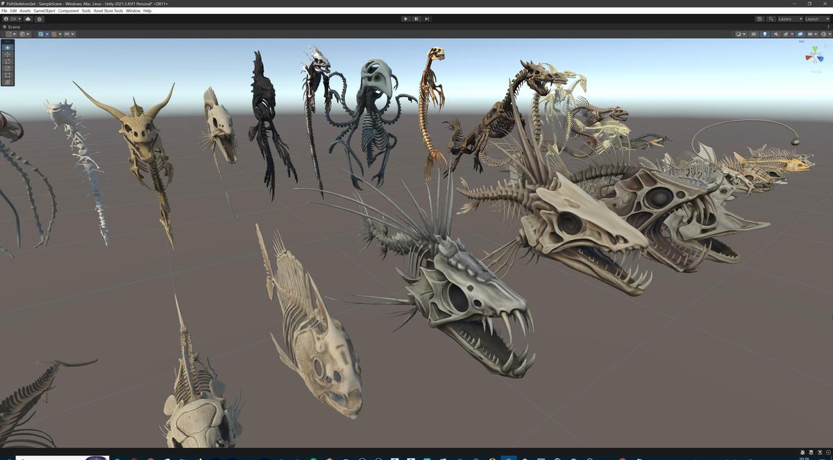 Fish and Underwater Creatures Skeleton Collection – Marine Bone 3D Asset Pack