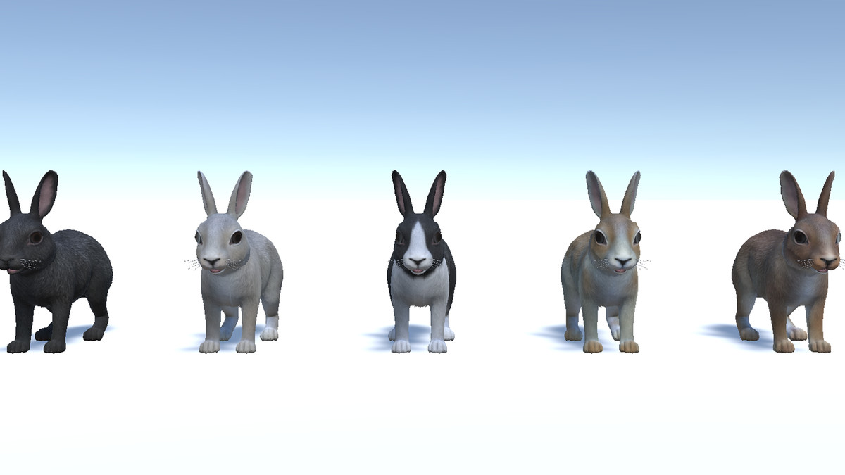 Rabbit Family