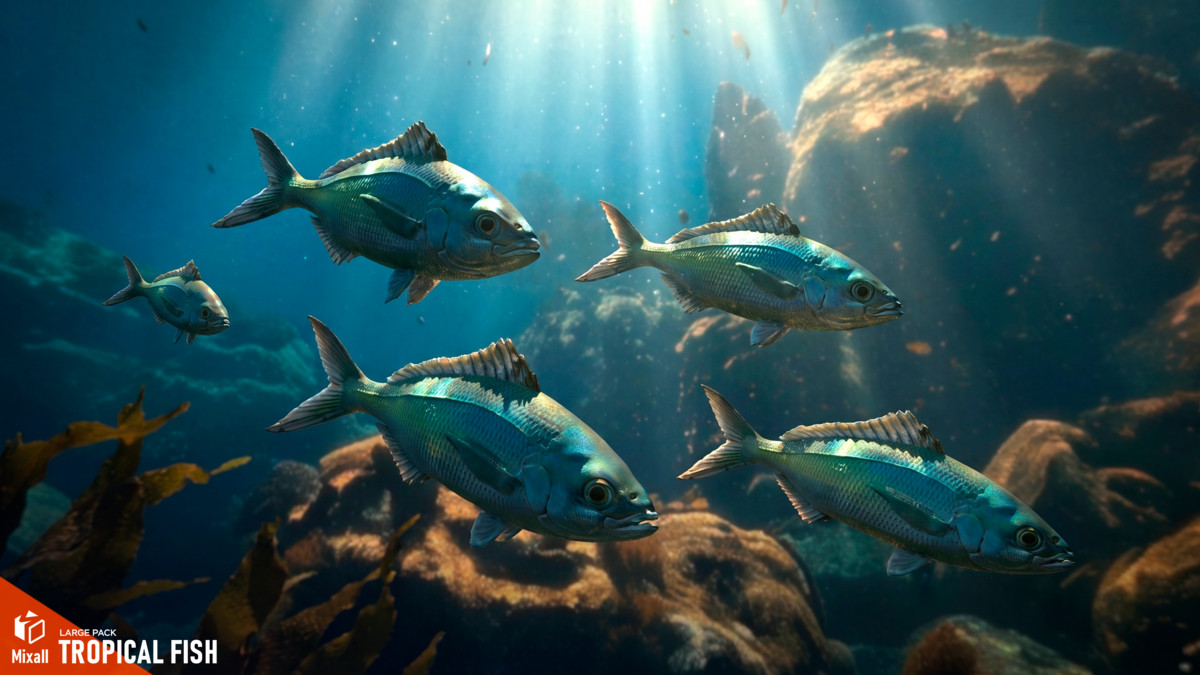 270 fish - Full pack
