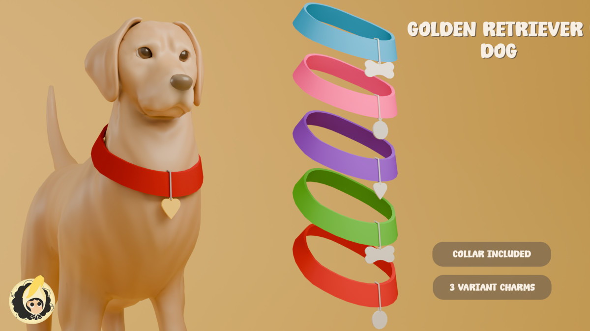 Golden Retriever Dog