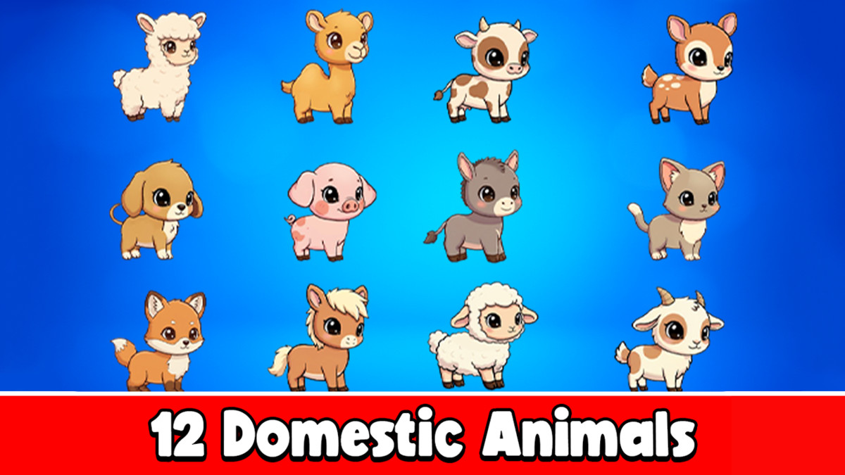 12 Domestic animal - 2D Animated Character