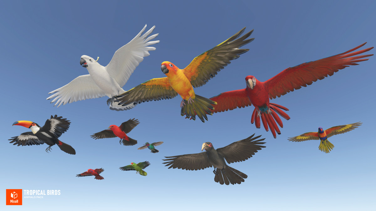 Tropical birds - animals pack