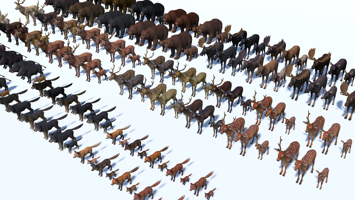 Cartoon Wild Animals