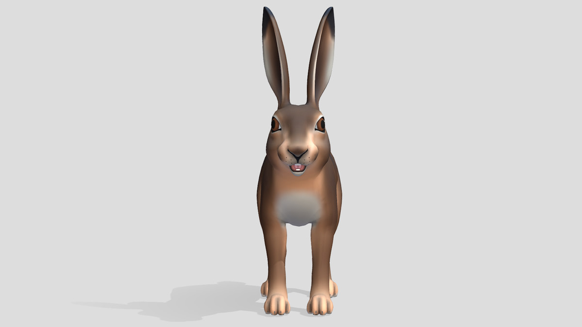 Cartoon - Hare