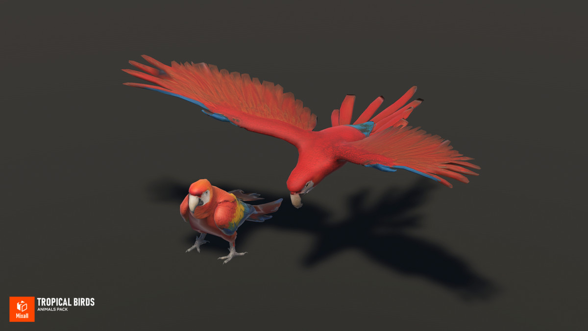 Tropical birds - animals pack