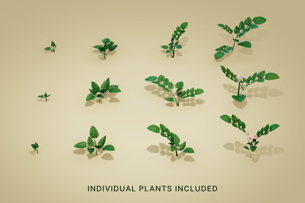 Wild Harvest: Root Vegetables