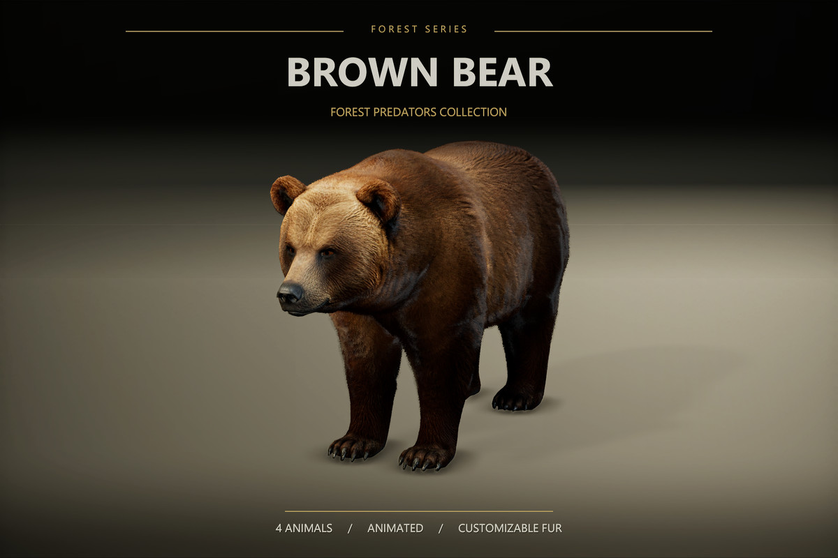 Forest Predators Collection - Realistic Animated Animals