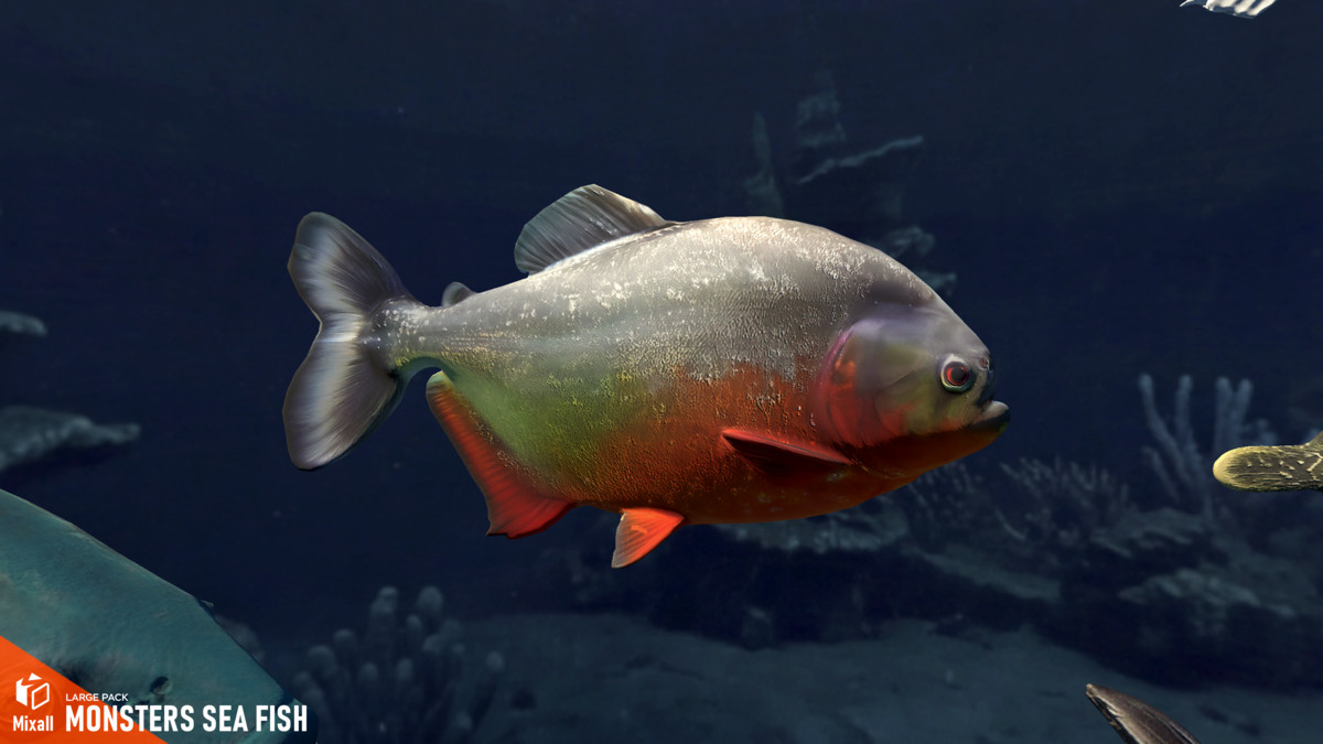 Monsters sea fish - large pack