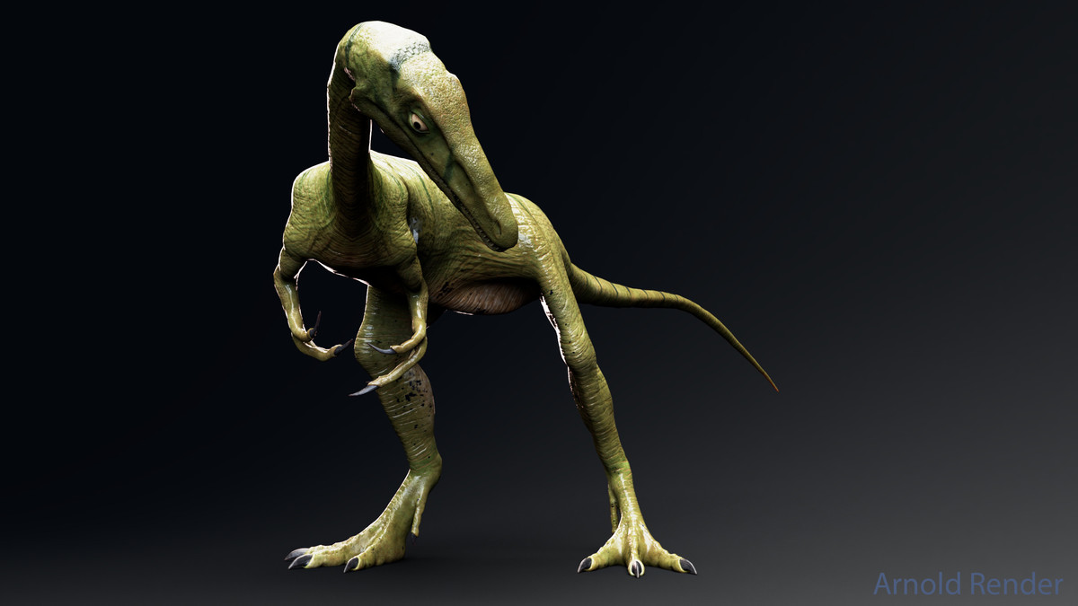 Dinosaur-Compsognathus - 110 Animations