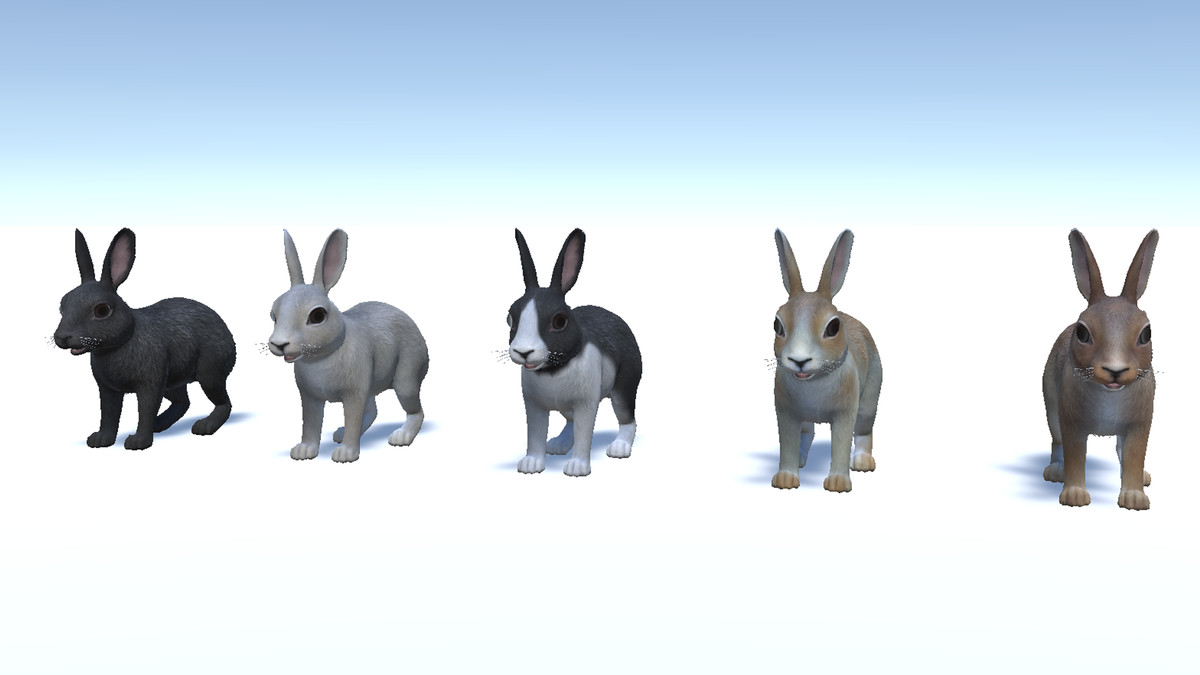 Rabbit Family