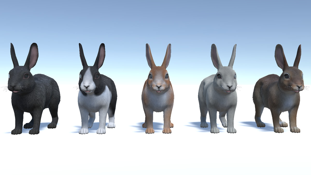 Rabbit Family