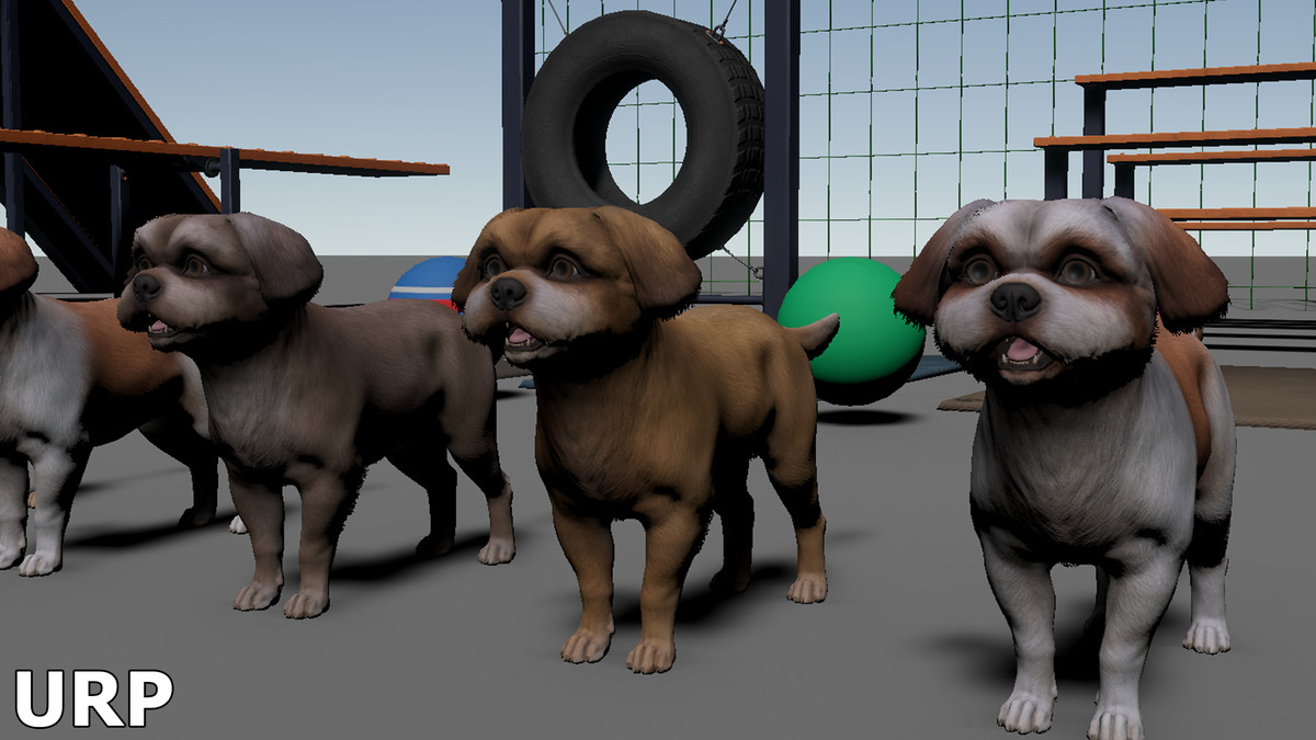 Dog - Shih Tzu