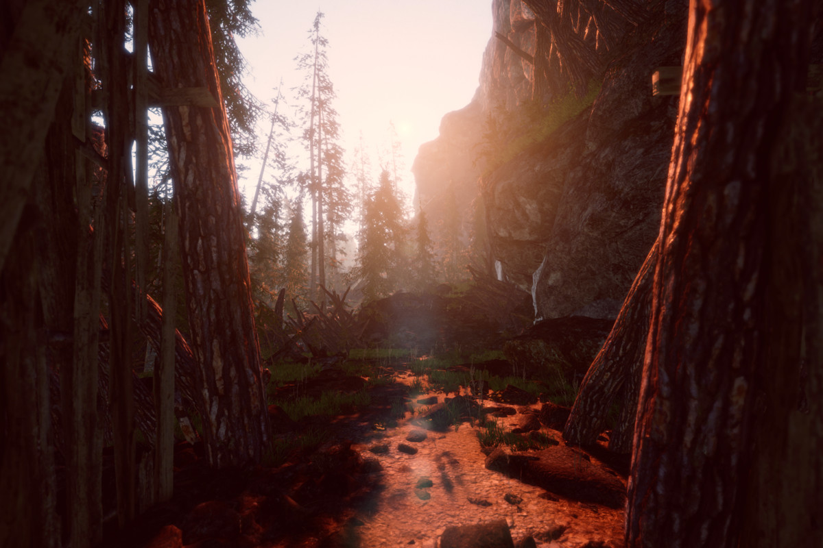 Book of the Dead Forest - URP - Fantasy RPG