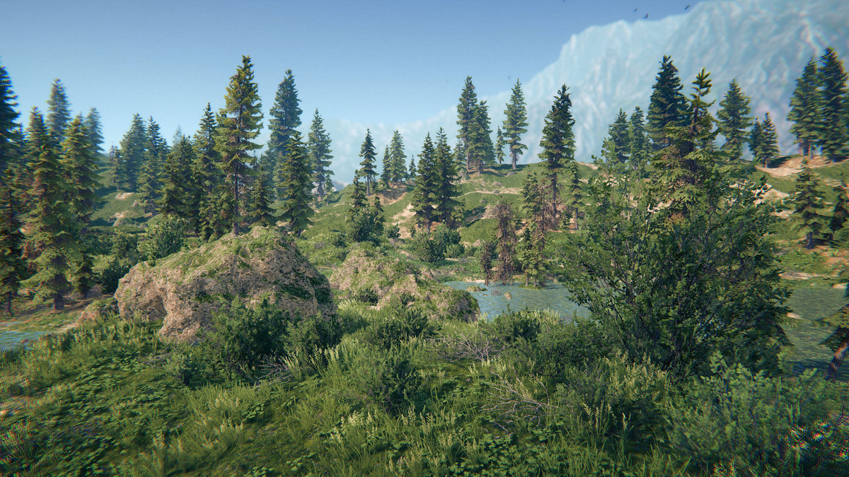 Spruce Forest