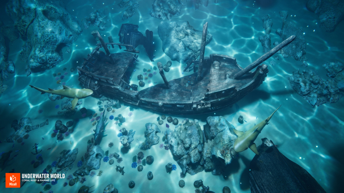 Underwater world - Coral Reef & Marine Life