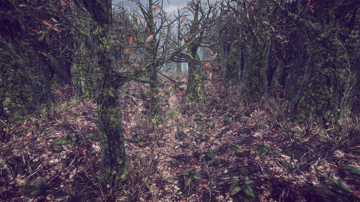 Sad Forest - Map Series 2 -