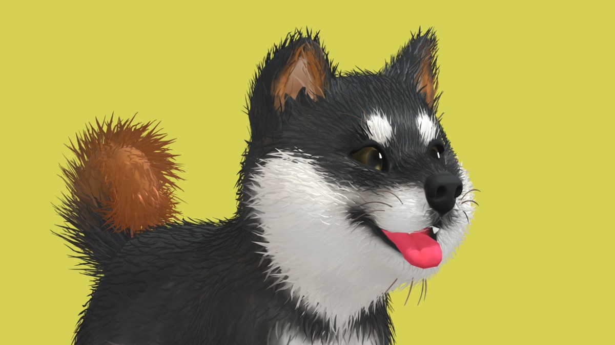 Cute Dog - Shiba Inu
