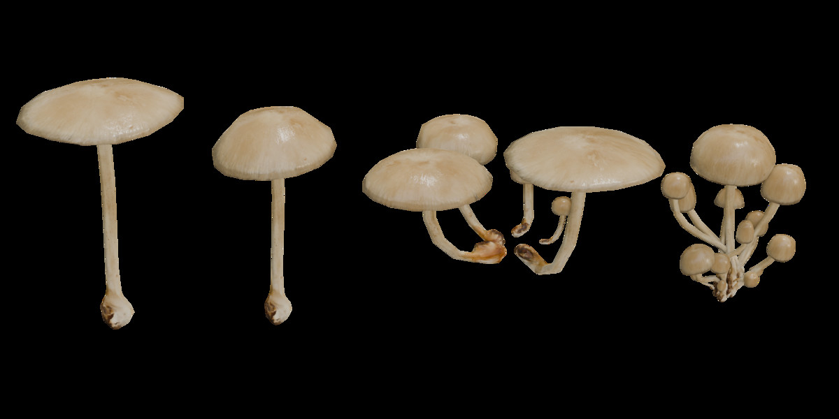 Mushrooms Bundle (62 Prefab + LOD)