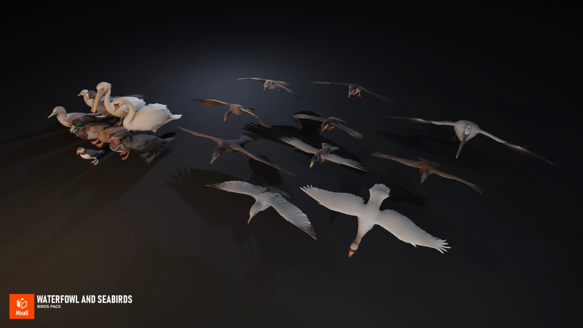 60 Birds - Full Animals Pack