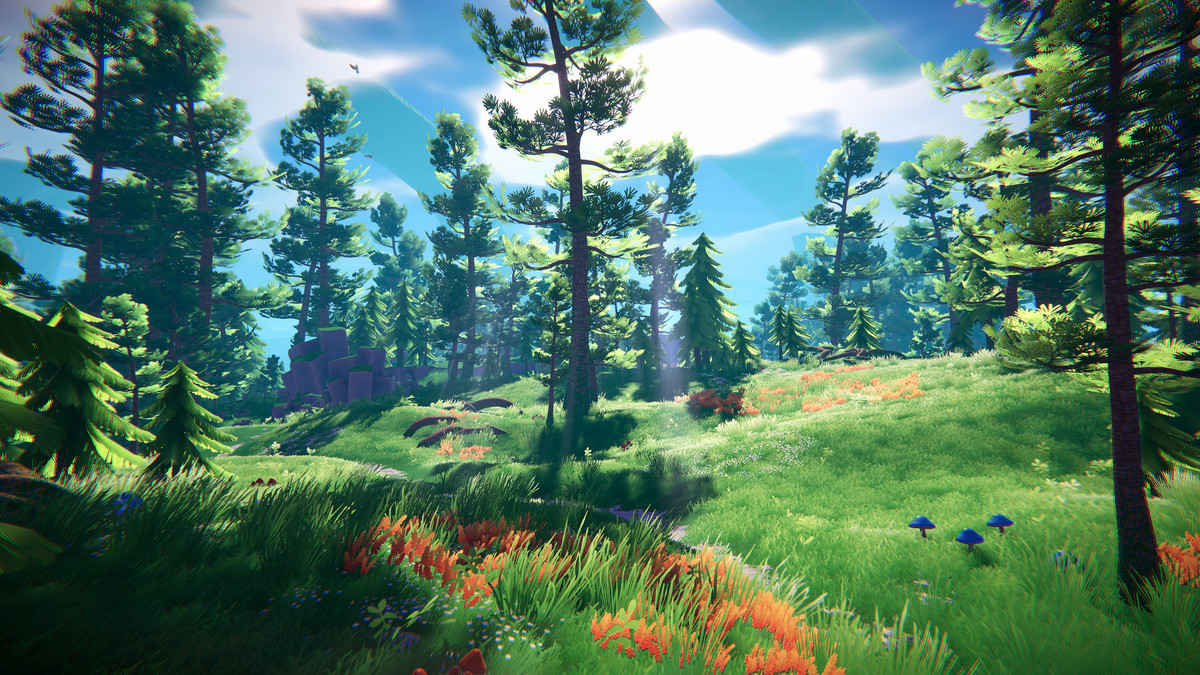 Adventure Nature Vol.6 Forest