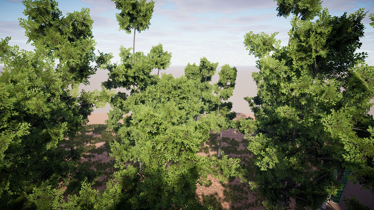 HDRP Tree Bundle 2
