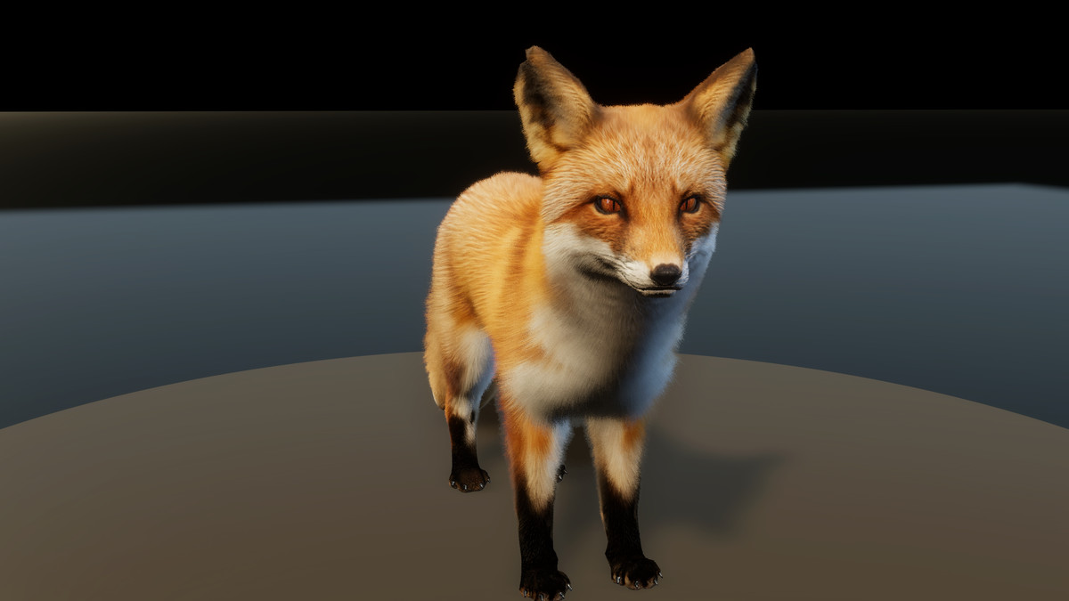 Forest Predators Collection - Realistic Animated Animals