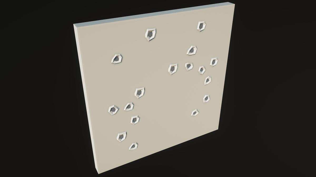 POLY - Survival Workshop