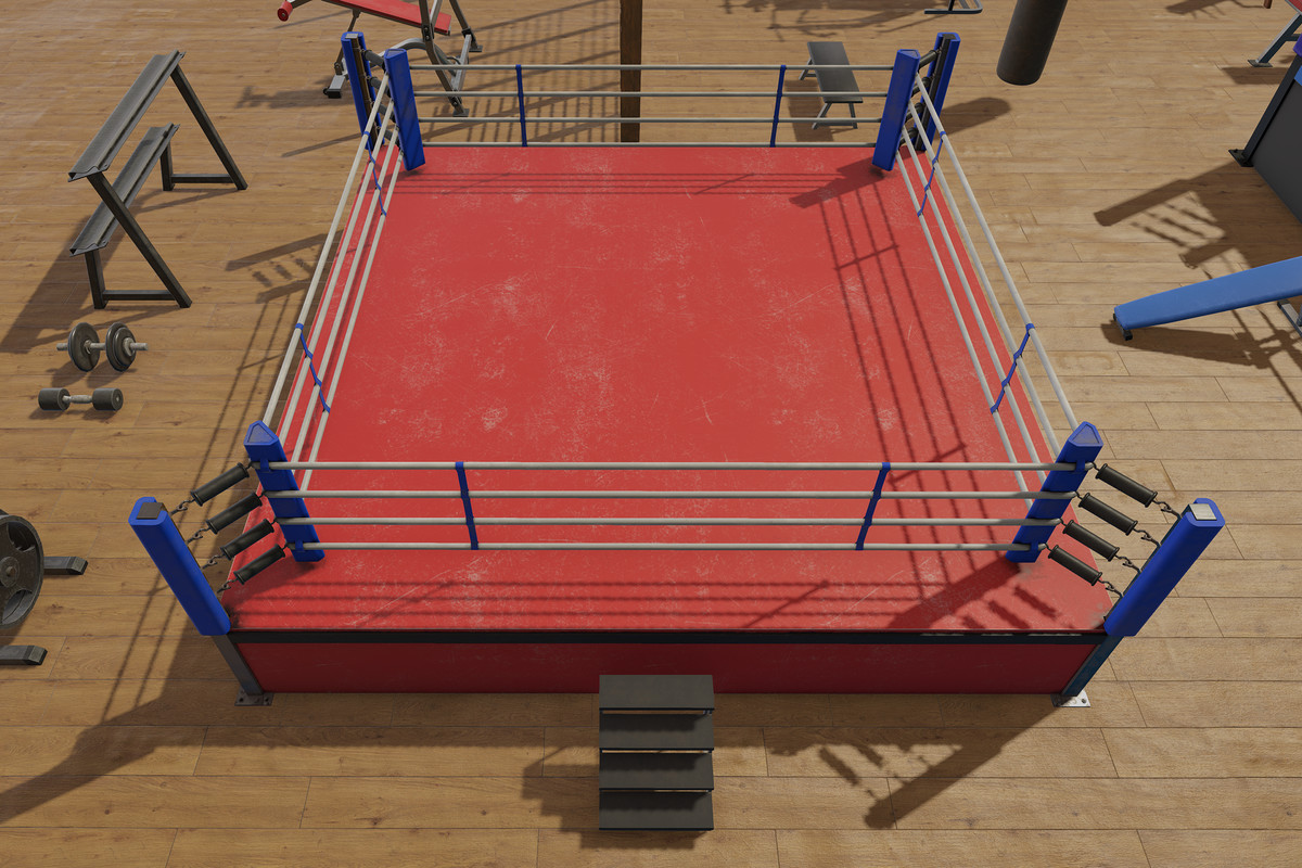 Boxing and Gym Equipment